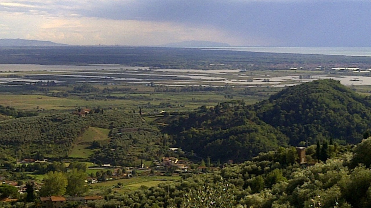 Photo of Others in Massarosa