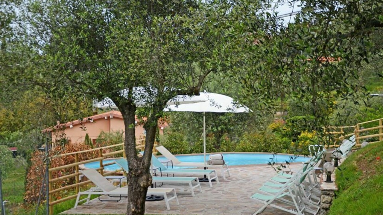 Photo of Outdoor in Massarosa