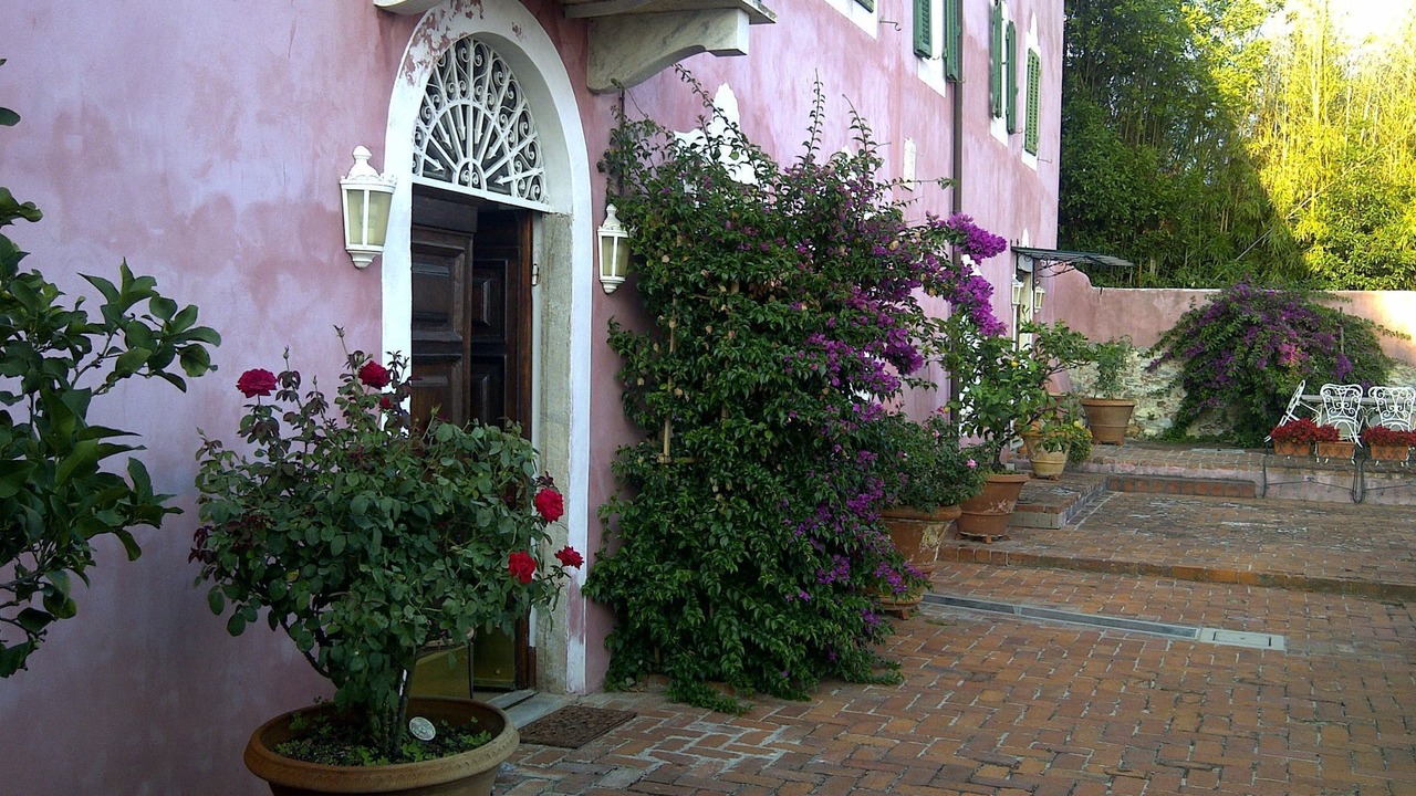 Photo of Others in Corsanico-Bargecchia
