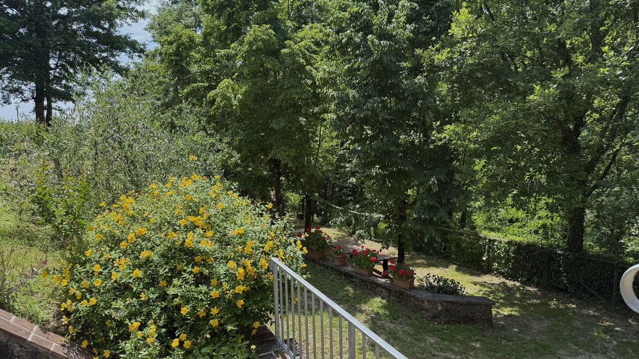 Photo of Outdoor in Pontito