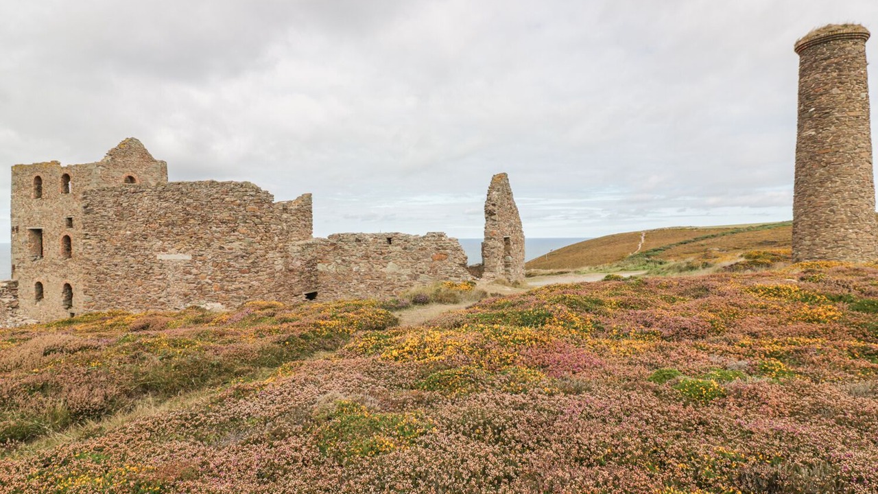 Photo of Others in St. Agnes