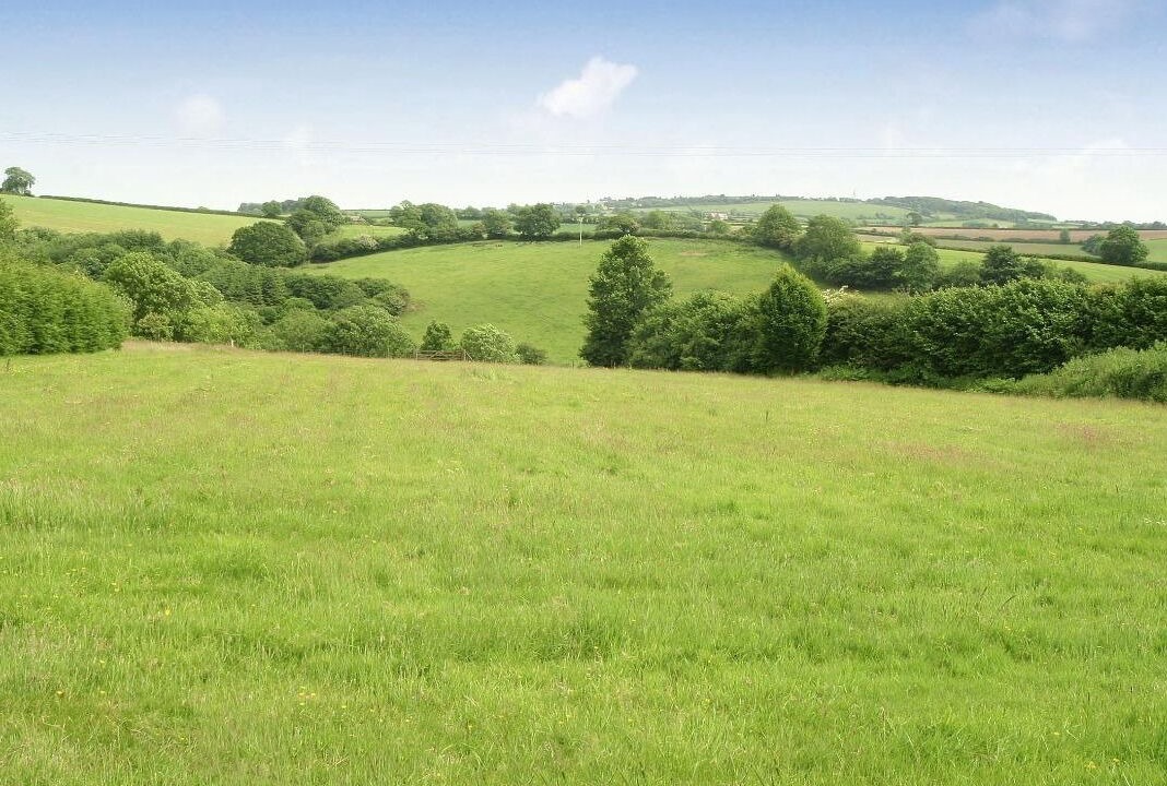 Photo of Outdoor in Liskeard