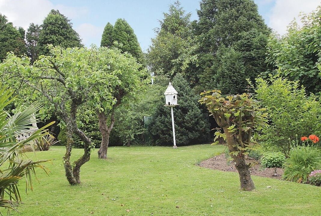 Photo of Outdoor in Liskeard