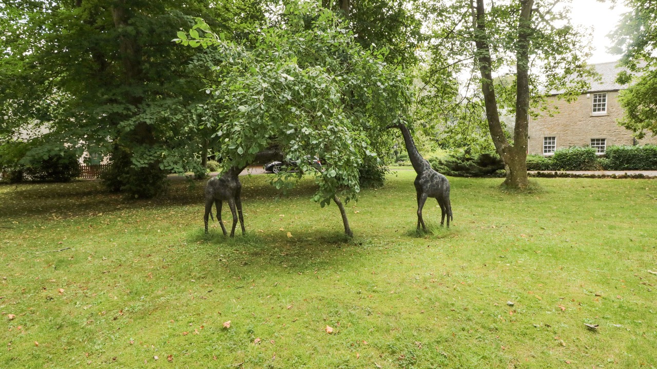 Photo of Outdoor in Duns