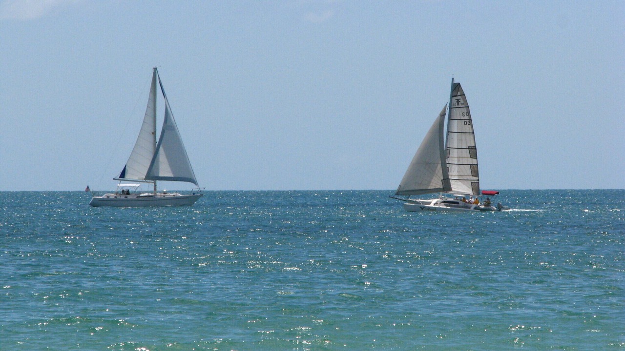 Photo of Others in Park Shore