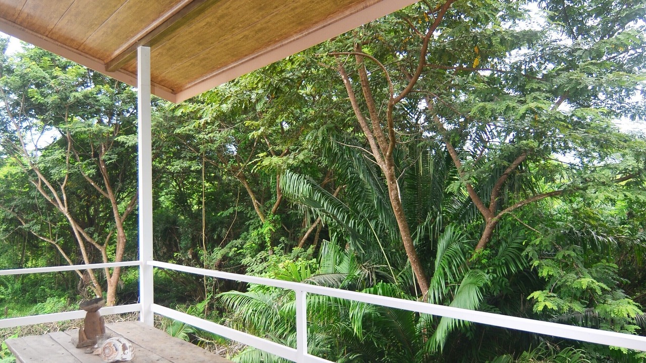 Photo of Outdoor in Samara