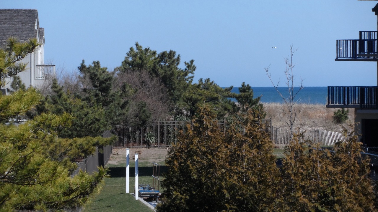 Photo of Outdoor in Bethany Beach