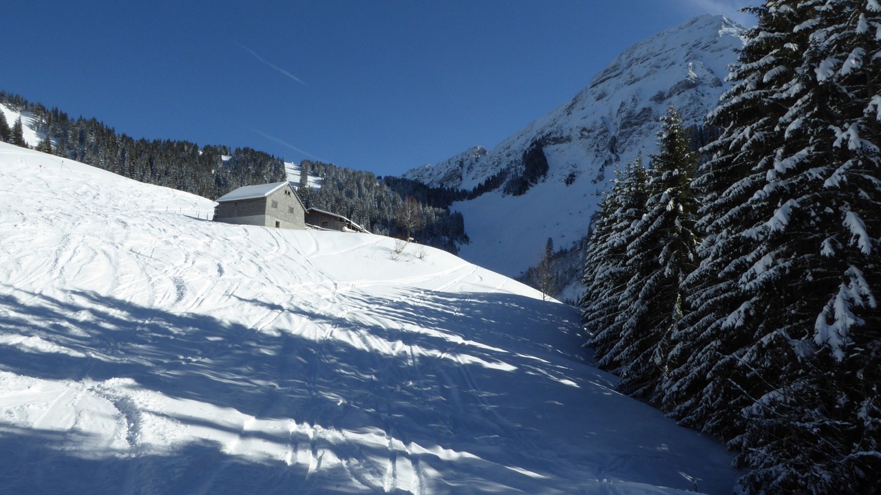 Photo of Others in Saint-Jean-dʼAulps