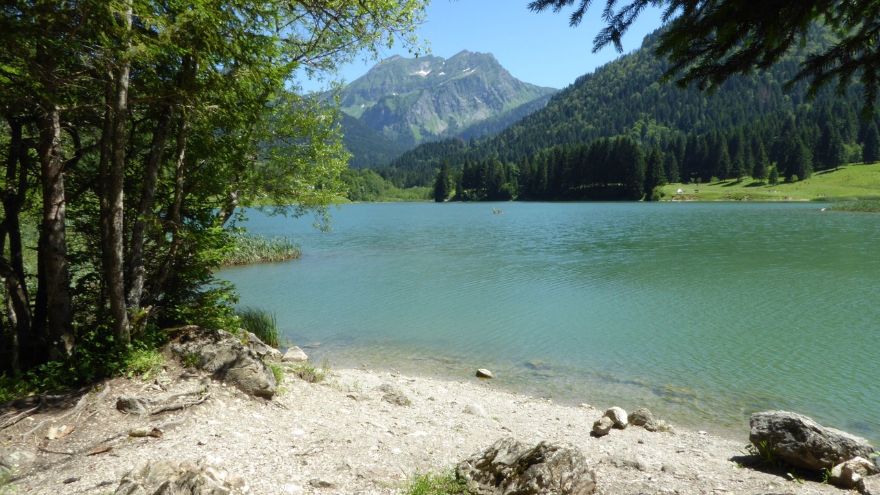 Photo of Others in Saint-Jean-dʼAulps