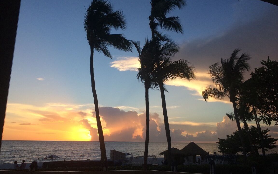 Photo of Outdoor in Naples Park