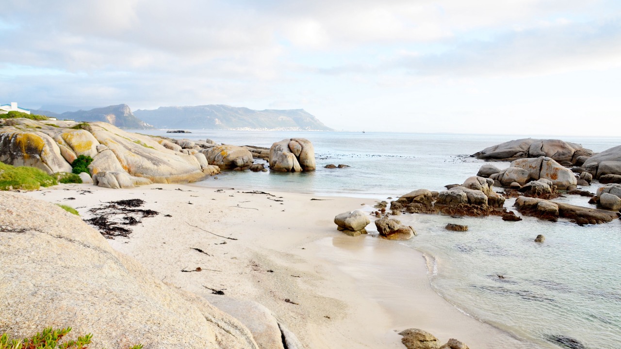 Photo of Others in Simon's Town