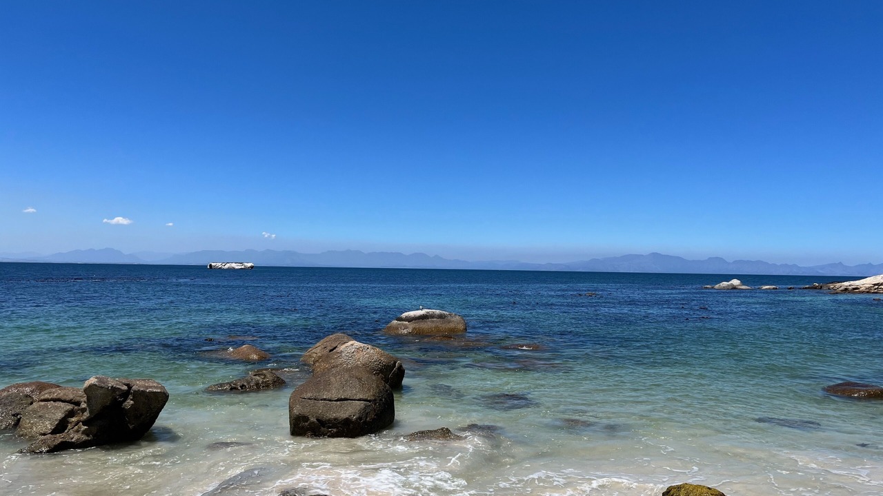 Photo of Others in Simon's Town