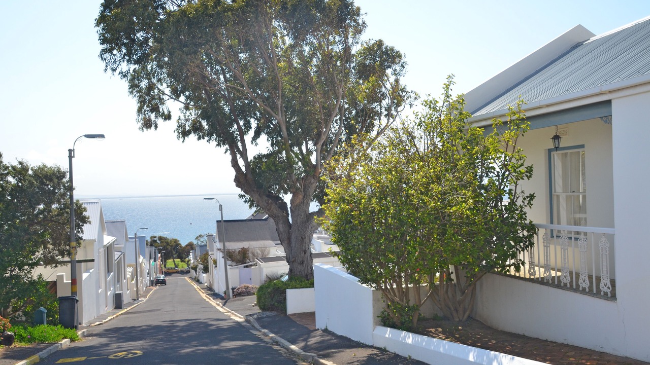 Photo of Others in Simon's Town