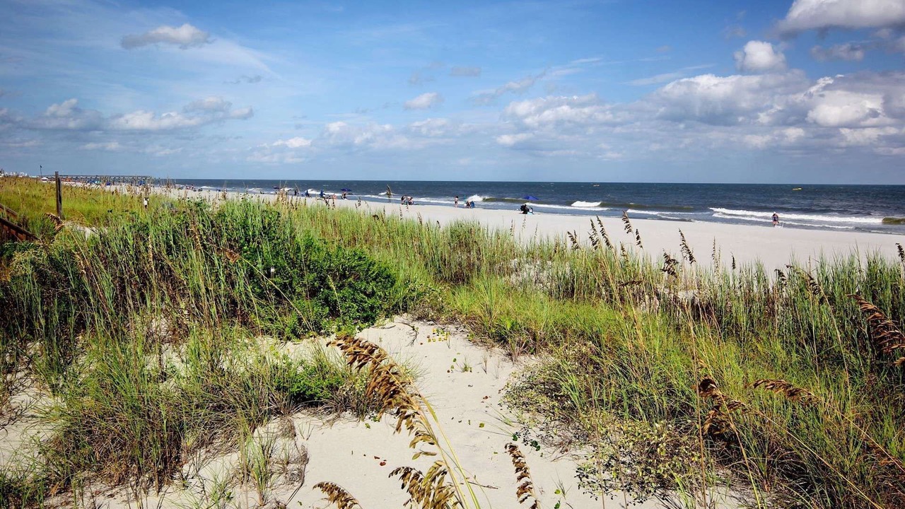 Photo of Others in Surfside Beach