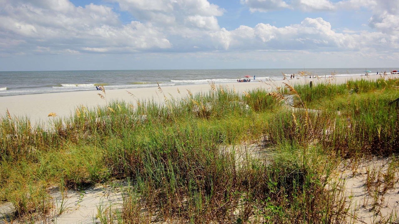 Photo of Others in Surfside Beach
