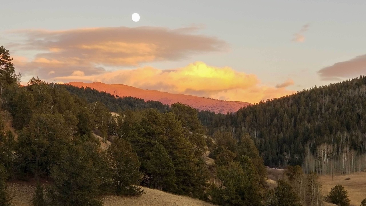 Photo of Others in Cripple Creek