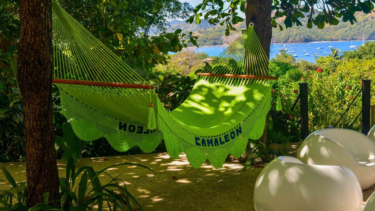 Photo of Outdoor in Coco