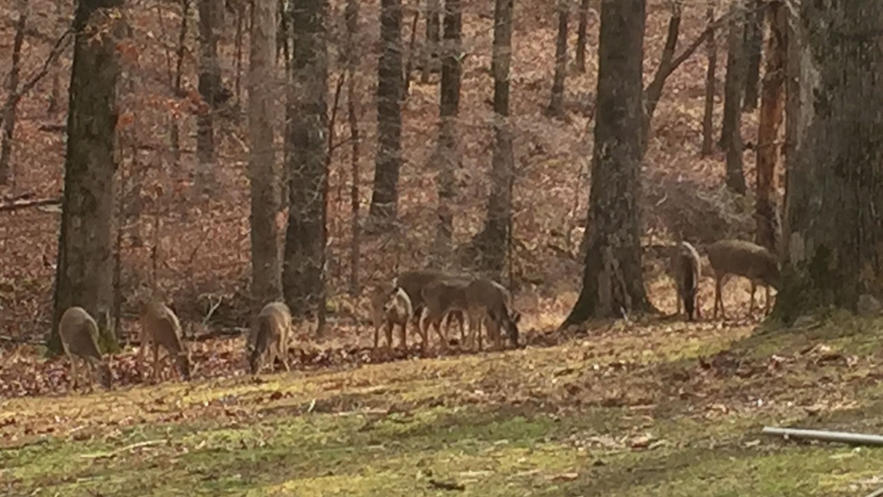 Photo of Others in Hernando