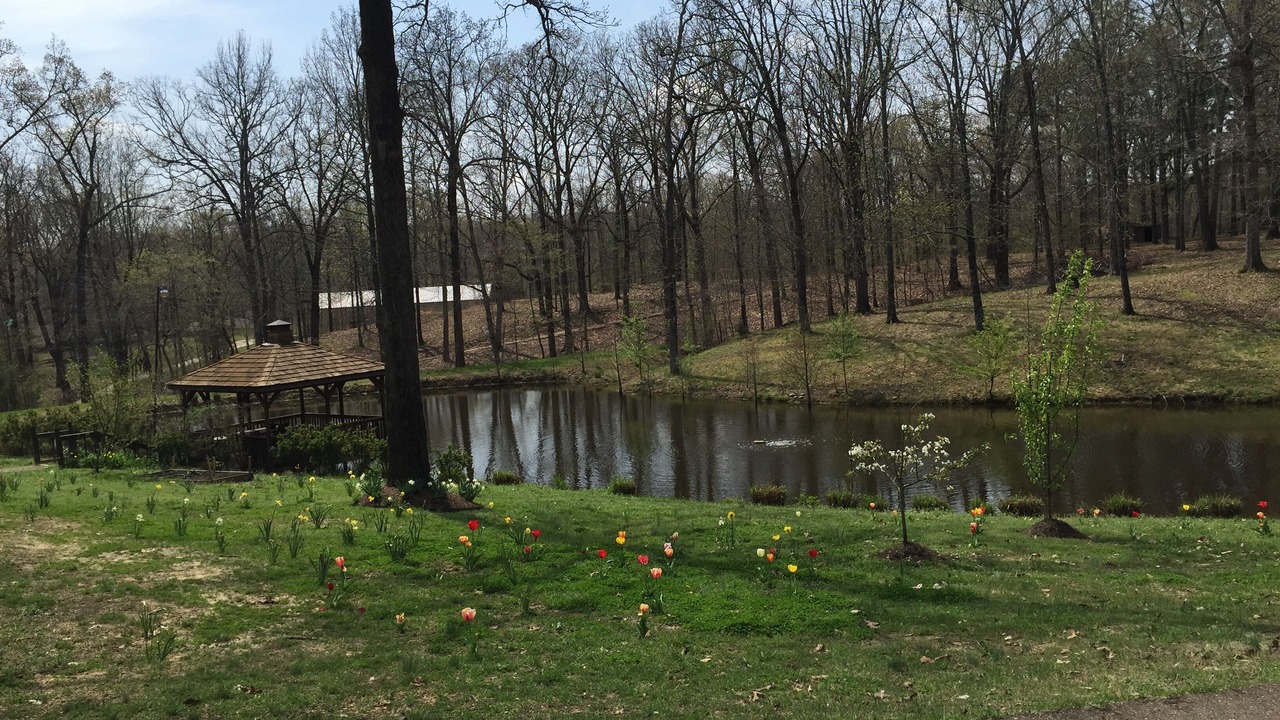 Photo of Outdoor in Hernando