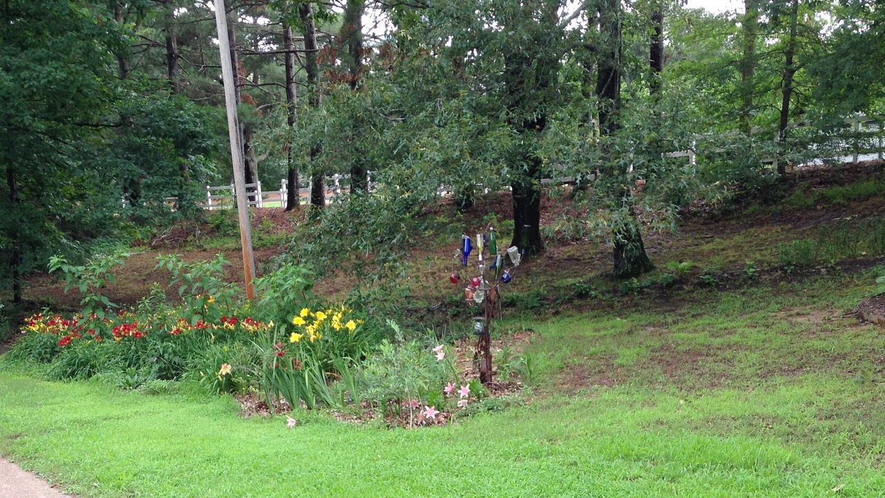 Photo of Outdoor in Hernando