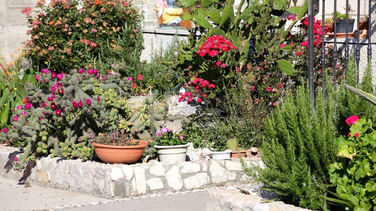 Photo of Outdoor in Trstenik