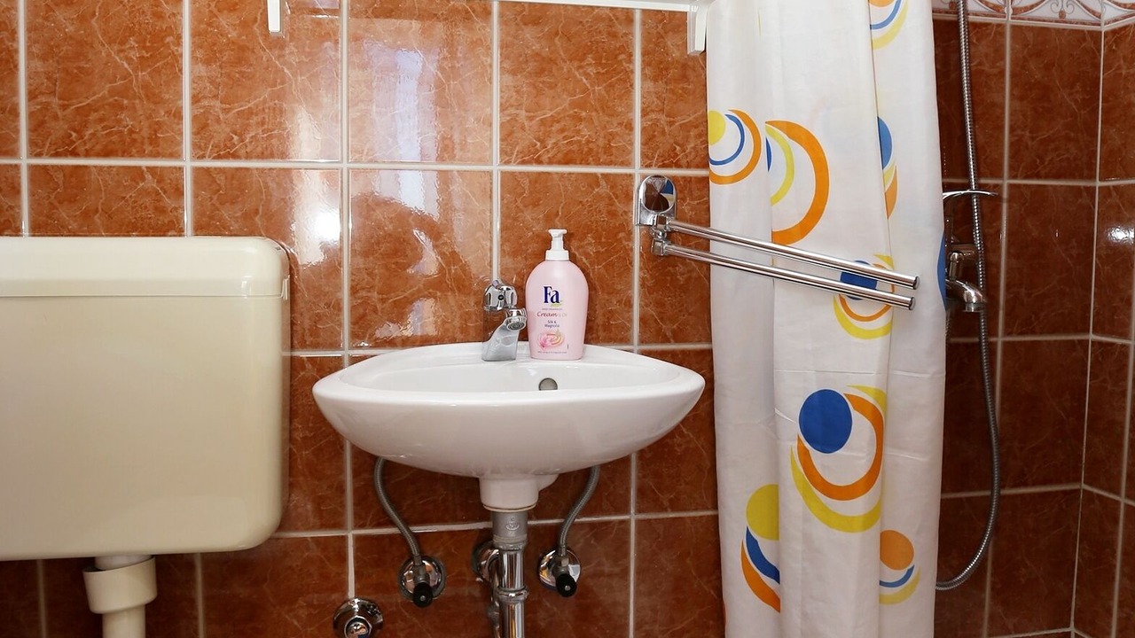 Photo of Bathroom in Trstenik