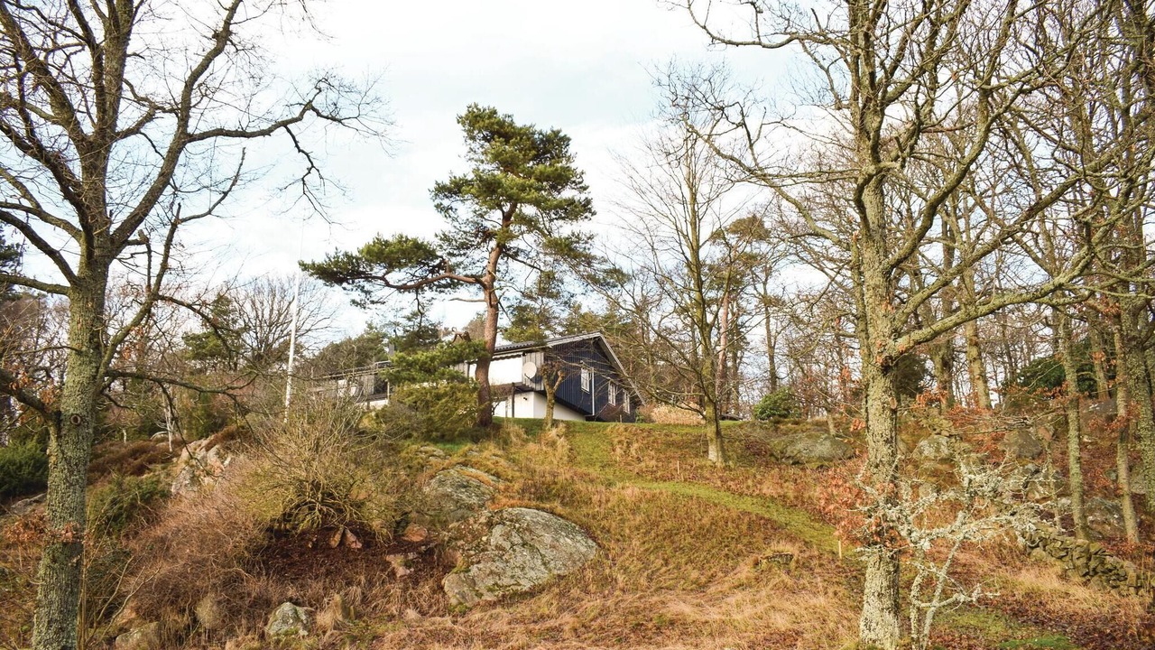 Photo of Others in Steninge