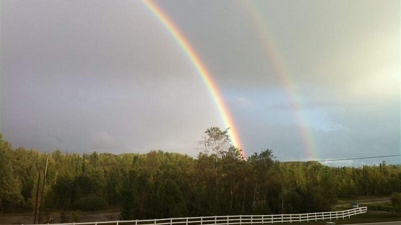 Photo of Others in Suttons Bay