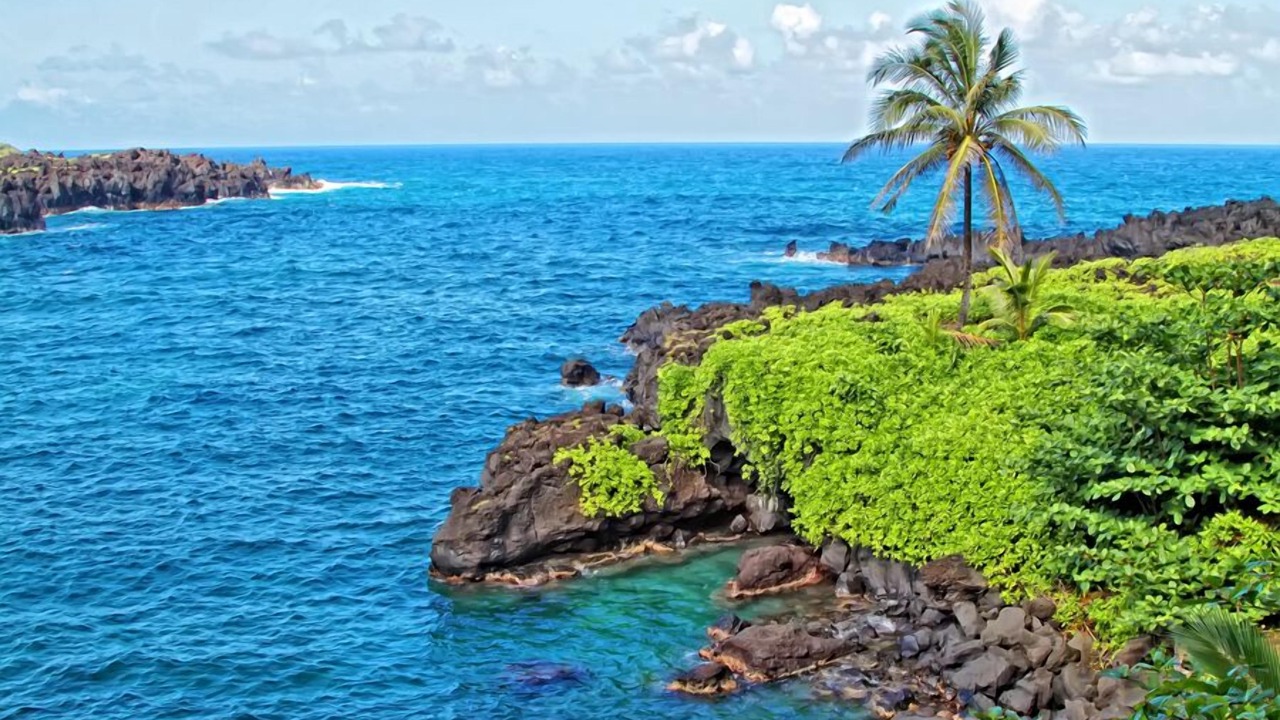 Photo of Others in Hana