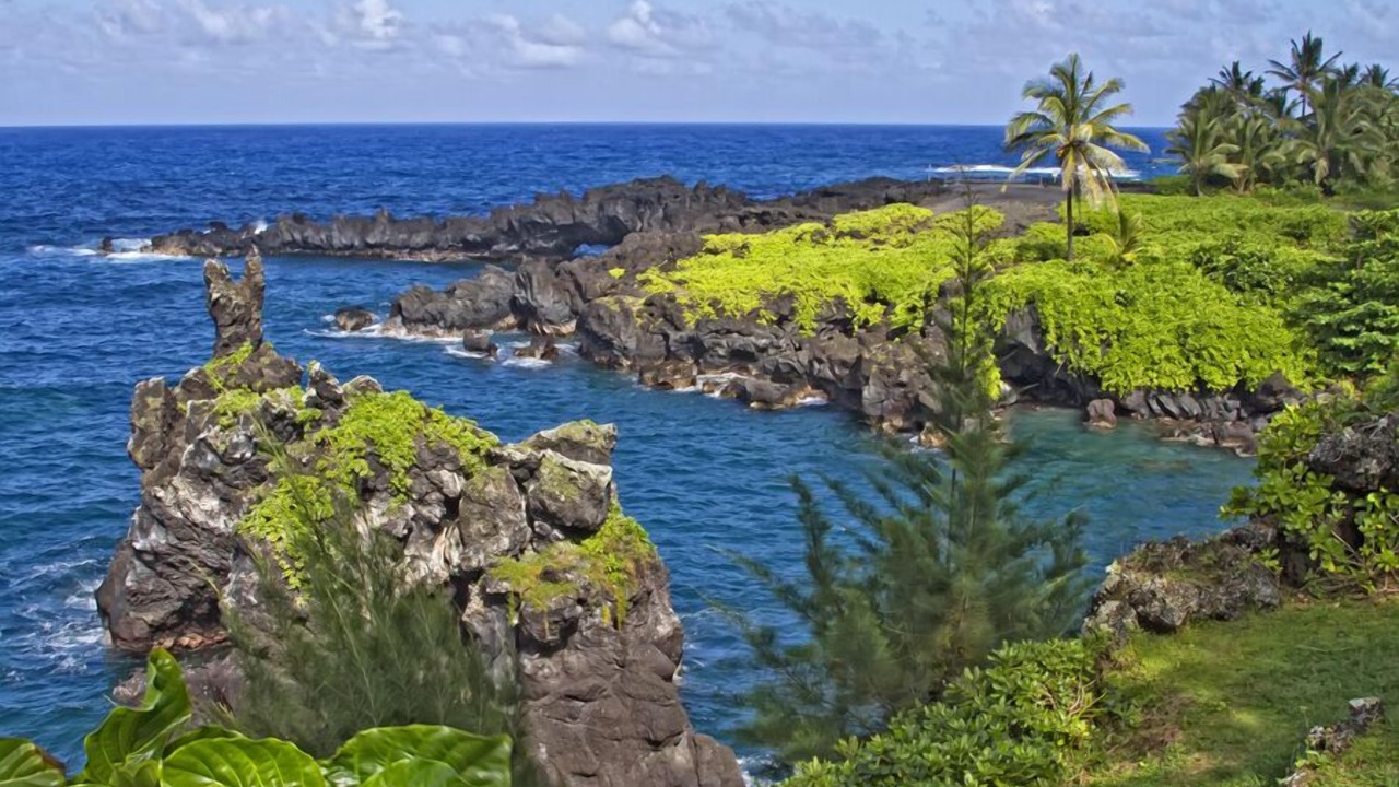 Photo of Others in Hana