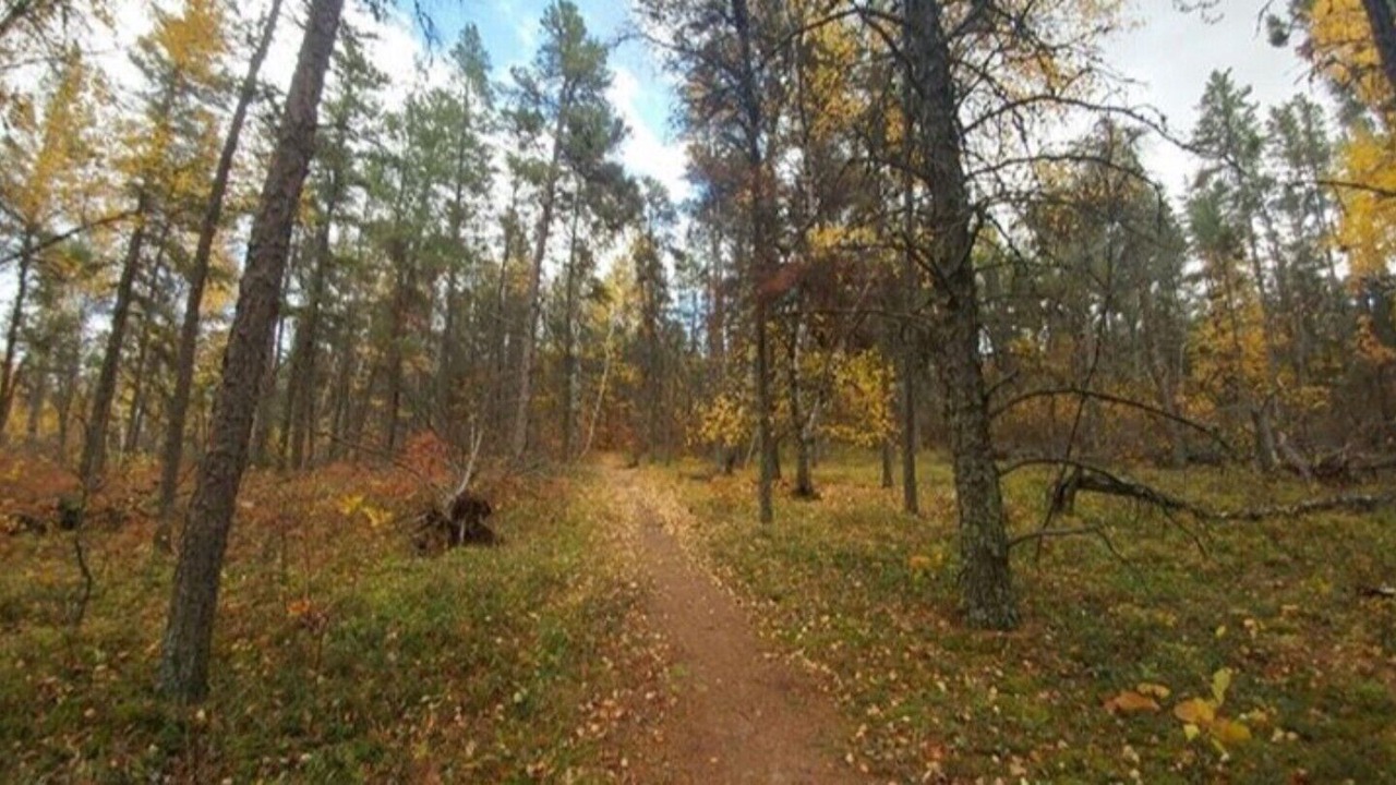 Photo of Outdoor in Grand Marais