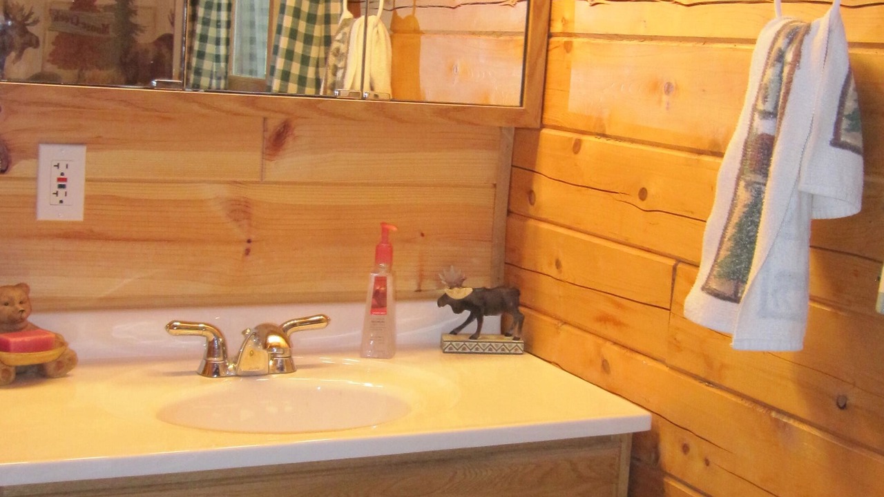 Photo of Bathroom in Munising