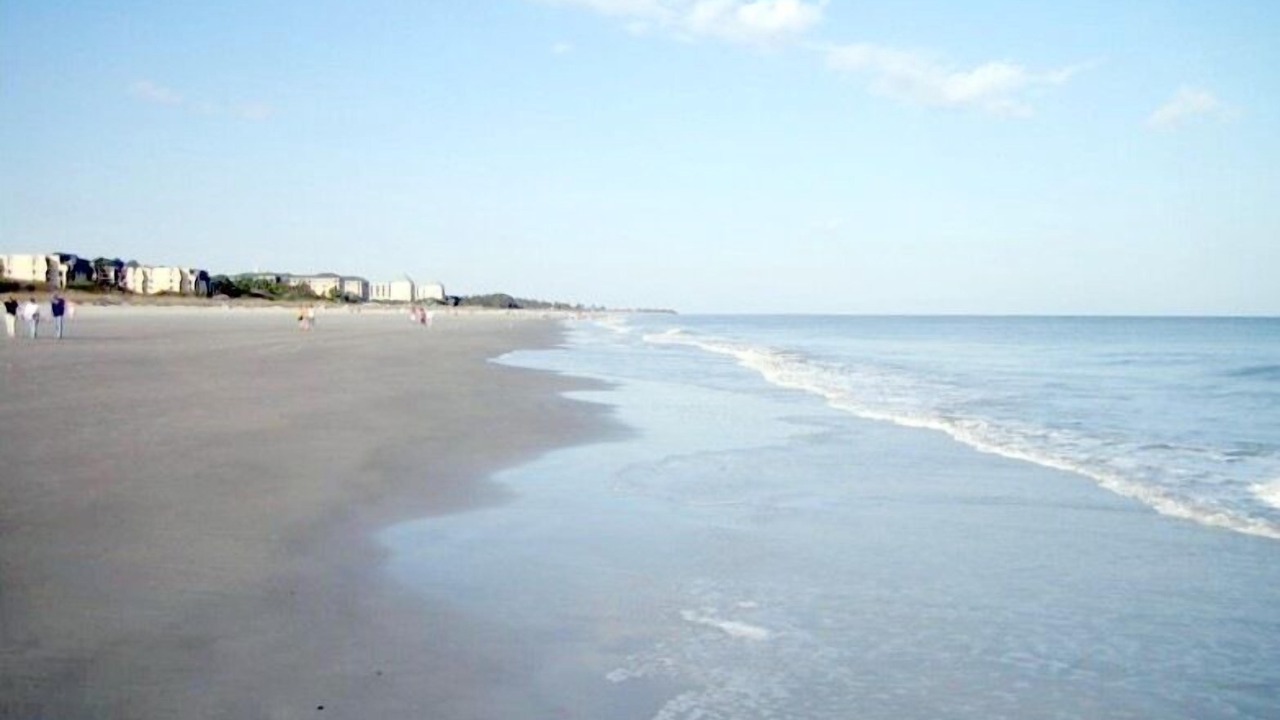 Photo of Others in Folly Field