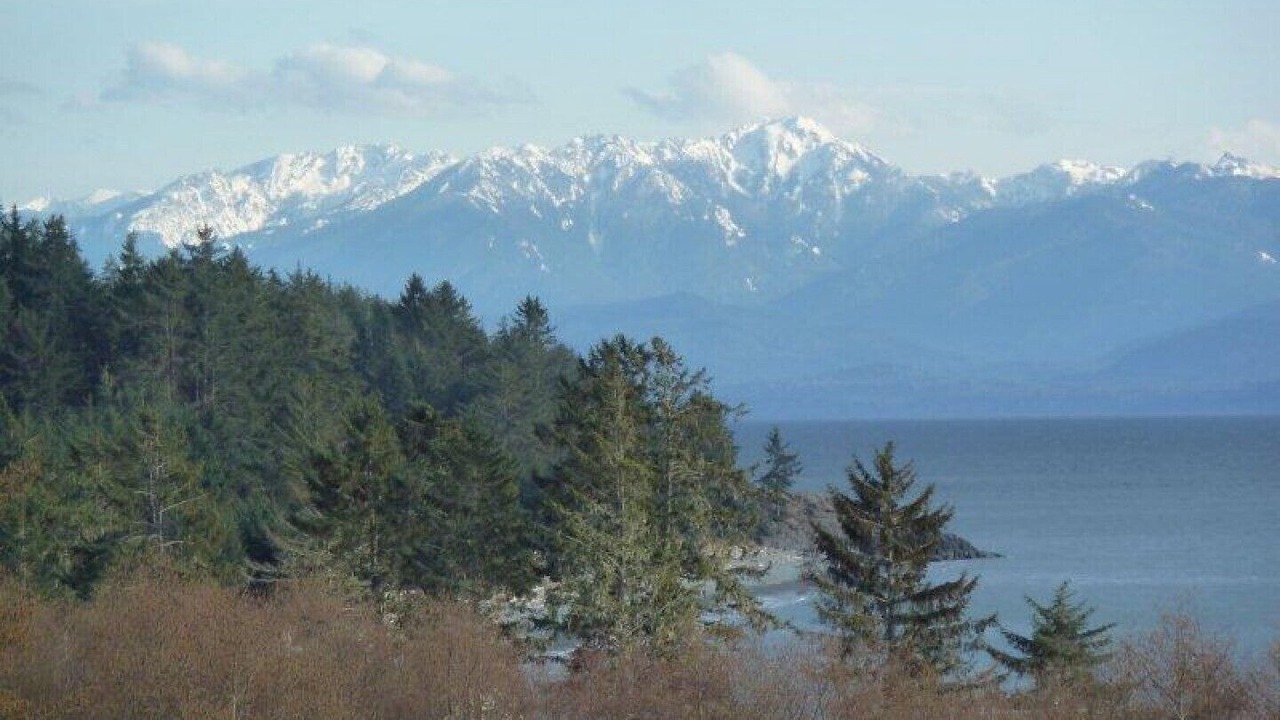 Photo of Others in Otter Point