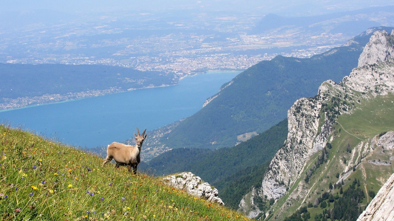 Photo of Others in Talloires-Montmin