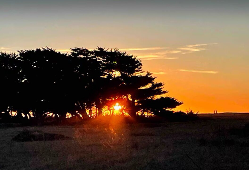 Photo of Others in Half Moon Bay