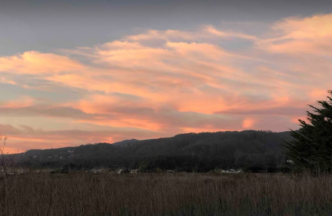 Photo of Others in Half Moon Bay