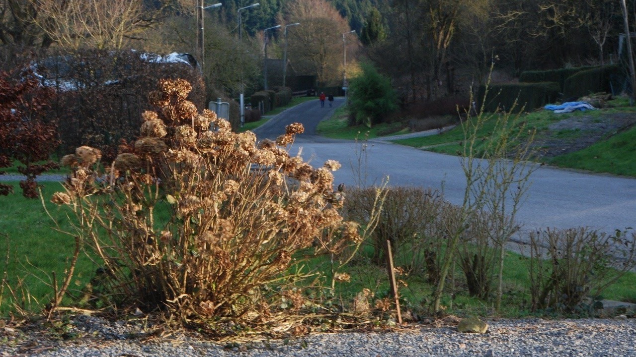 Photo of Outdoor in Bourseigne-Vieille