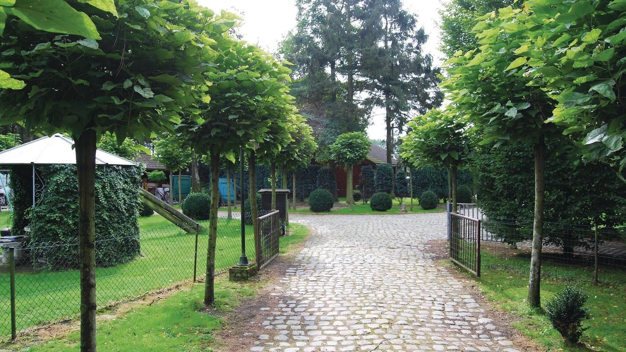 Photo of Outdoor in Wachtebeke