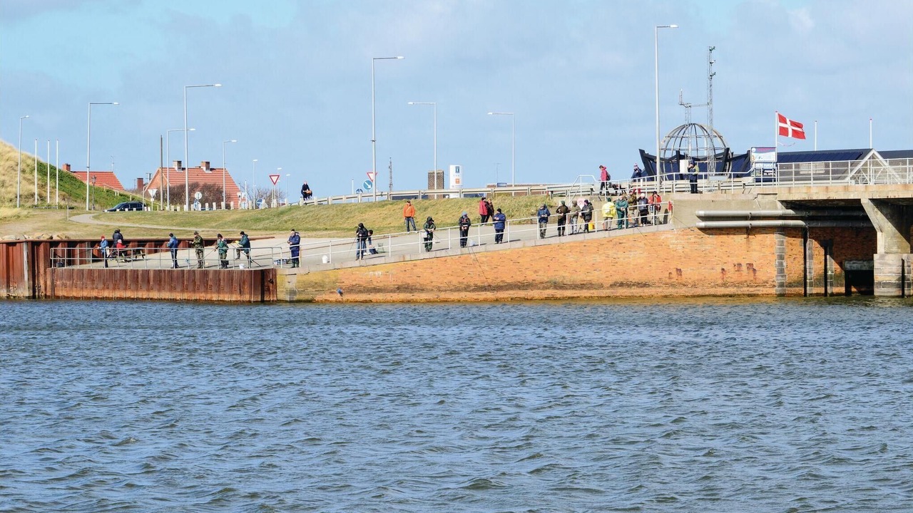 Photo of Others in Nørre Lyngvig