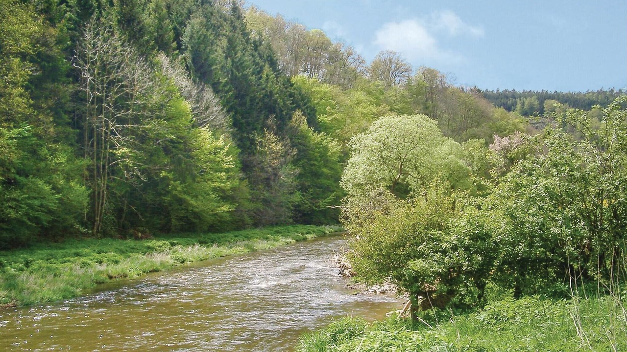 Photo of Others in Buellingen