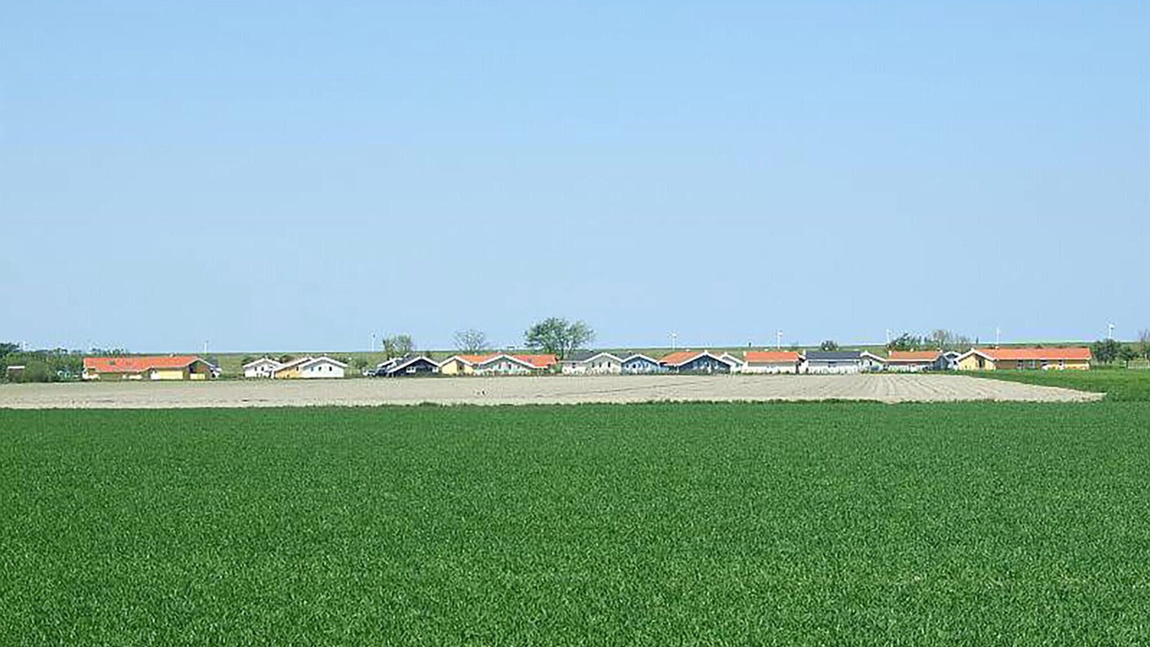 Photo of Others in Friedrichskoog
