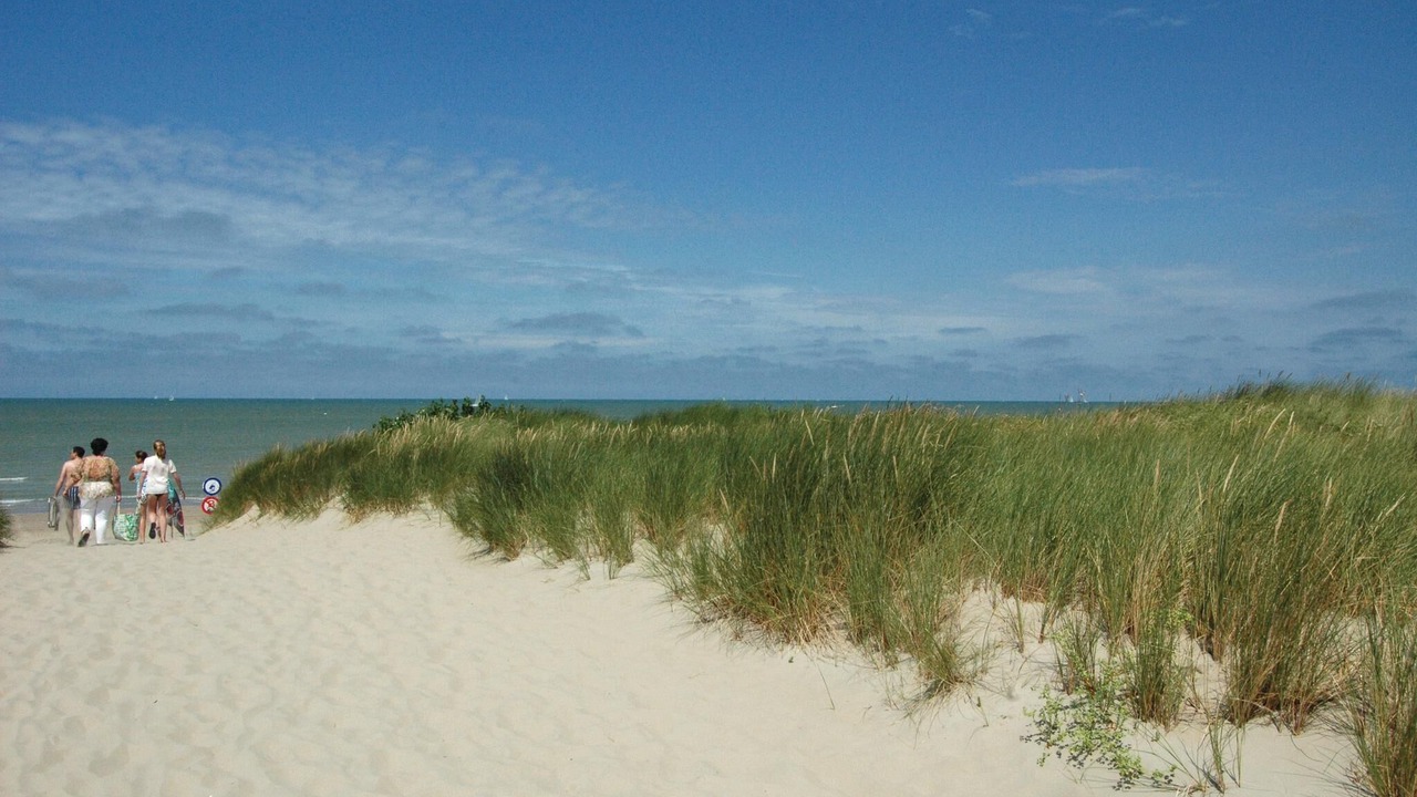 Photo of Others in Oostduinkerke-Bad
