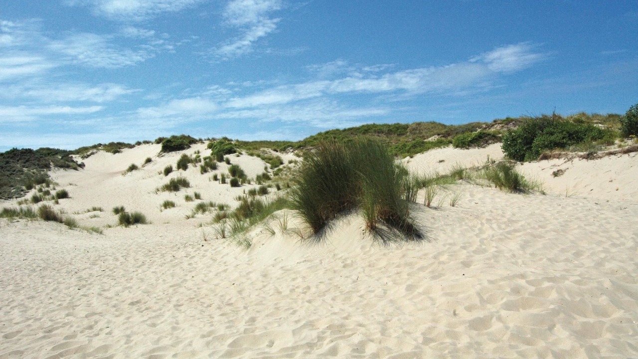 Photo of Others in Oostduinkerke-Bad