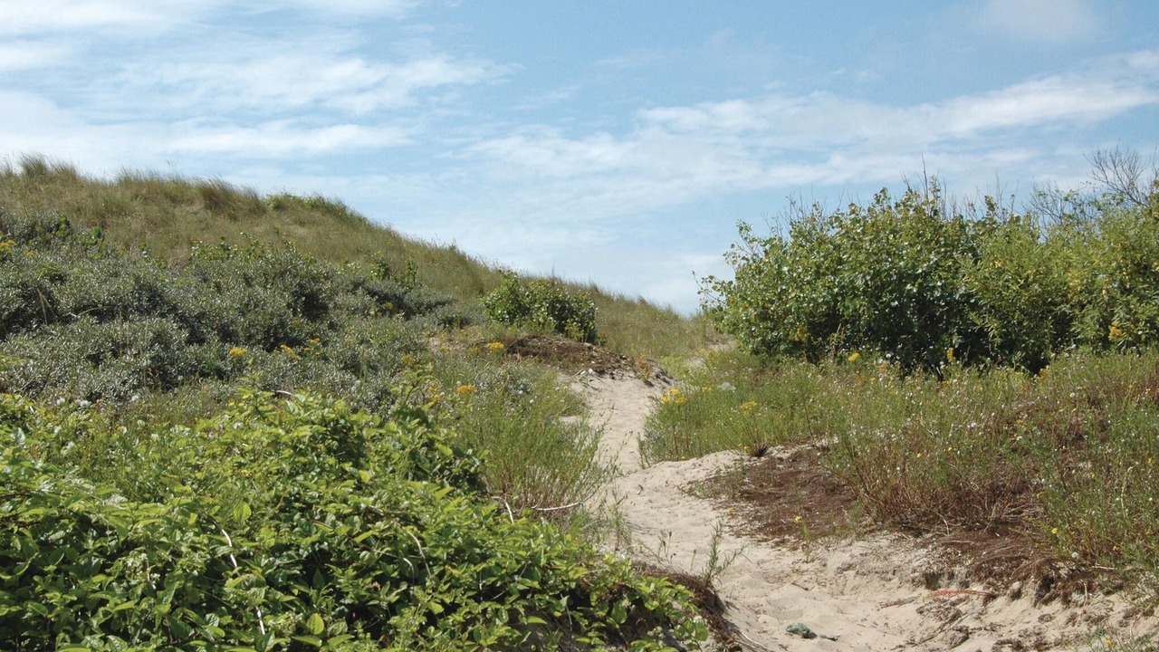 Photo of Others in Oostduinkerke-Bad
