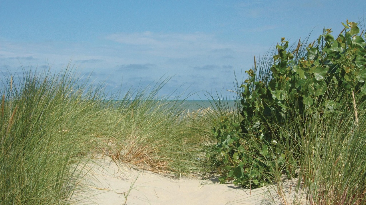 Photo of Others in Oostduinkerke-Bad