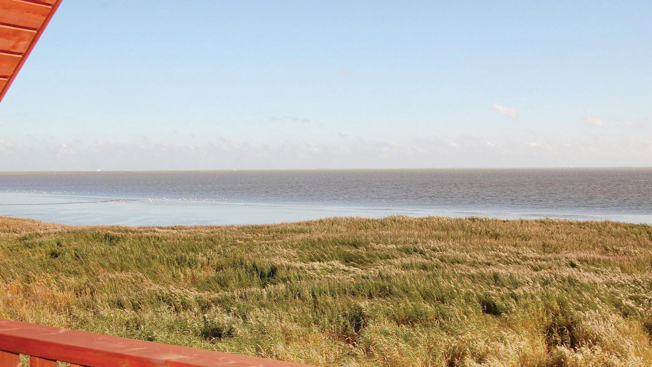 Photo of Others in Kongsmark