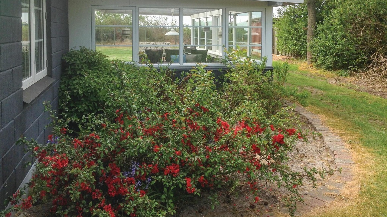 Photo of Outdoor in Vinderup