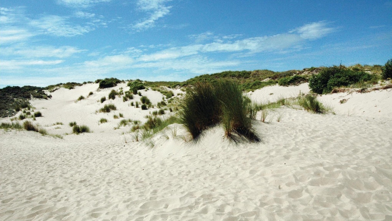 Photo of Others in Oostduinkerke-Bad