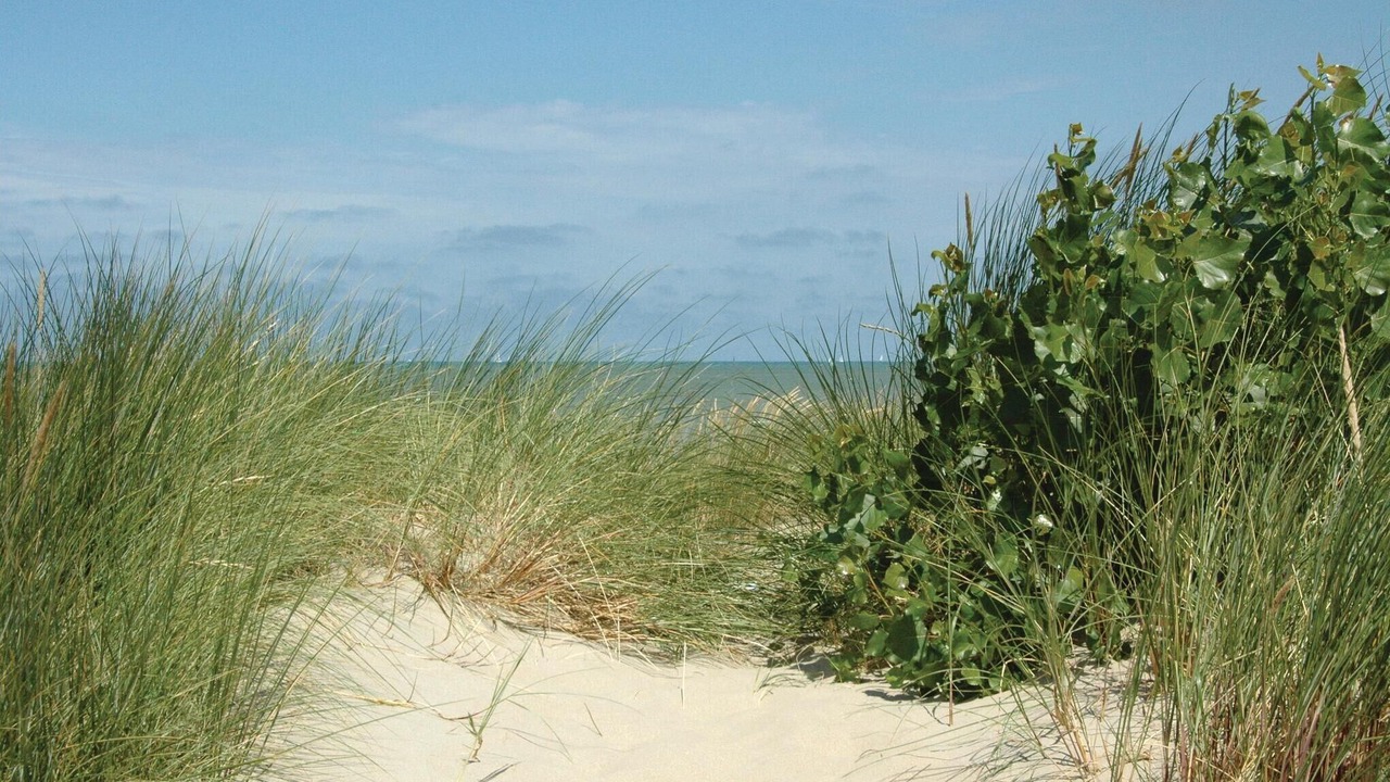 Photo of Others in Oostduinkerke-Bad